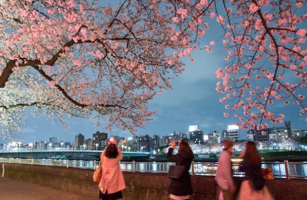 【浅草下車】夜桜deナイト☆TOKYOお花見バス☆オープントップバスで桜の名所をハイライトで巡る車窓観光ショートトリップ!(17:50出発)3